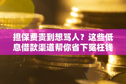 济南担保费贵到想骂人？这些低息借款渠道帮你省下冤枉钱