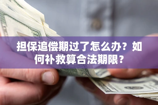 济南担保追偿期过了怎么办？如何补救算合法期限？