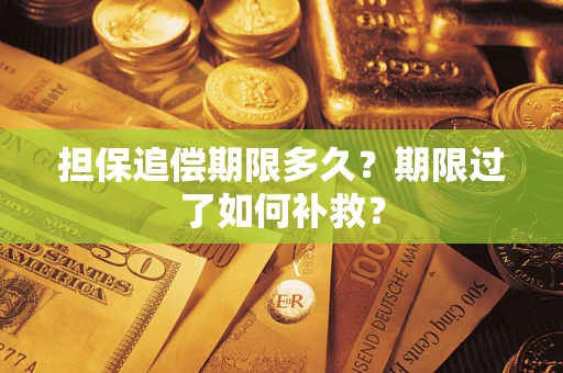 济南担保追偿期限多久？期限过了如何补救？