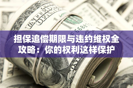 济南担保追偿期限与违约维权全攻略：你的权利这样保护